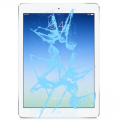 החלפת זכוכית מגע למסך Apple iPad  Air 2